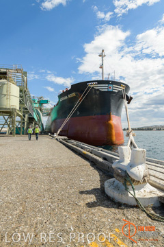 November 2017 / ADRIANA_ROSE_PL_005_171121_TRP6269