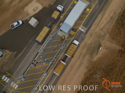 November 2017 / TUMBY_AUTO_SAMPLING_033_171121