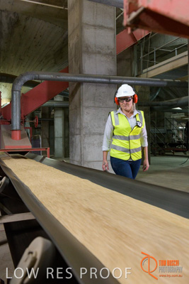 November 2017 / CONVEYOR_PL_080_171121_TRP6131