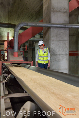 November 2017 / CONVEYOR_PL_084_171121_TRP6138