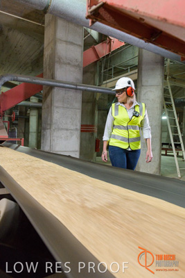 November 2017 / CONVEYOR_PL_092_171121_TRP6150