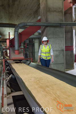 November 2017 / CONVEYOR_PL_106_171121_TRP6187