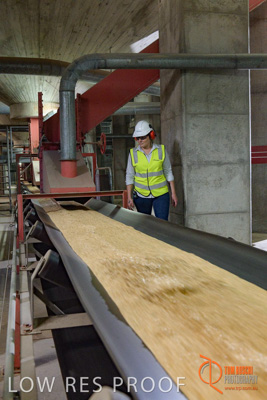 November 2017 / CONVEYOR_PL_111_171121_TRP6195