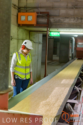 November 2017 / CONVEYOR_PL_129_171121_TRP6236