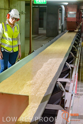 November 2017 / CONVEYOR_PL_131_171121_TRP6239