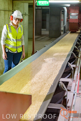 November 2017 / CONVEYOR_PL_132_171121_TRP6240