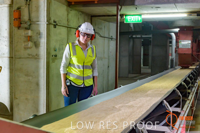 November 2017 / CONVEYOR_PL_134_171121_TRP6242