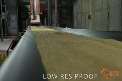 November 2017 / CONVEYOR_PL_135_171121_TRP6247