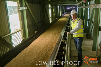 November 2017 / CONVEYOR_PL_136_171121_TRP6453