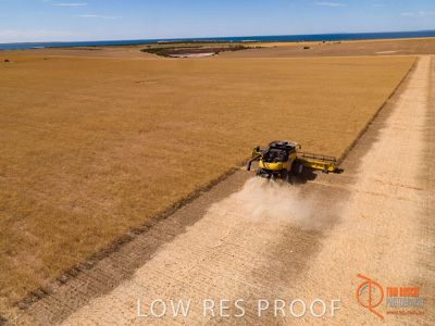 November 2017 / EP_HARVEST_AM_002_171121