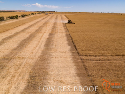 November 2017 / EP_HARVEST_AM_017_171121