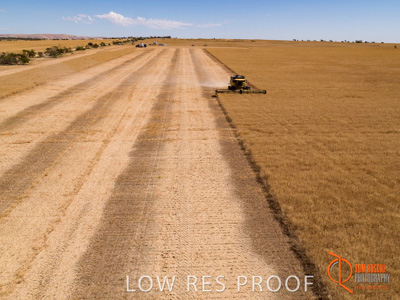 November 2017 / EP_HARVEST_AM_020_171121