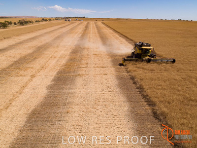 November 2017 / EP_HARVEST_AM_026_171121