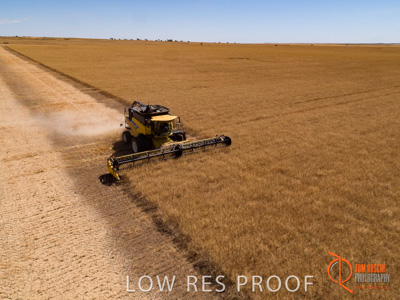 November 2017 / EP_HARVEST_AM_029_171121