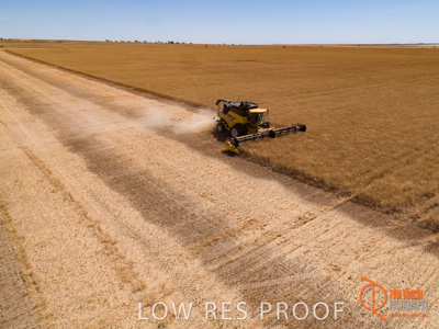 November 2017 / EP_HARVEST_AM_035_171121