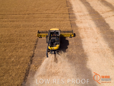 November 2017 / EP_HARVEST_AM_050_171121