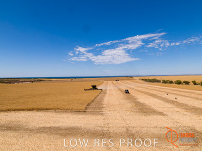 November 2017 / EP_HARVEST_AM_062_171121