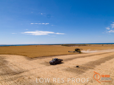 November 2017 / EP_HARVEST_AM_068_171121