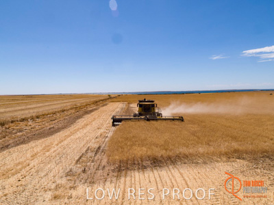 November 2017 / EP_HARVEST_AM_092_171121