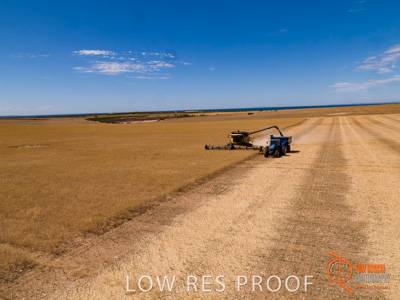 November 2017 / EP_HARVEST_AM_113_171121