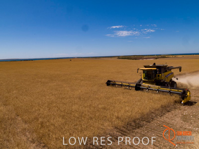 November 2017 / EP_HARVEST_AM_146_171121