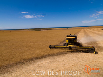 November 2017 / EP_HARVEST_AM_155_171121