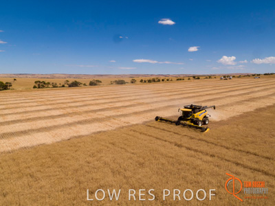 November 2017 / EP_HARVEST_AM_200_171121