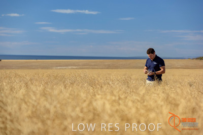 November 2017 / HARVEST_TUMBY_AM_006_171121_TRP8336