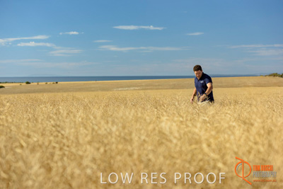 November 2017 / HARVEST_TUMBY_AM_008_171121_TRP8340