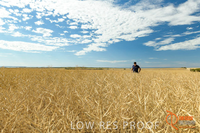 November 2017 / HARVEST_TUMBY_AM_019_171121_TRP5633