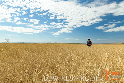 November 2017 / HARVEST_TUMBY_AM_020_171121_TRP5634