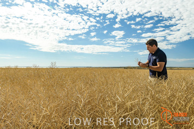 November 2017 / HARVEST_TUMBY_AM_025_171121_TRP5654