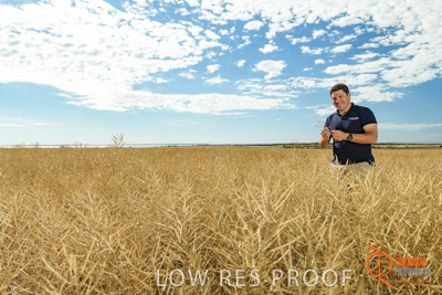 November 2017 / HARVEST_TUMBY_AM_027_171121_TRP5657