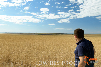 November 2017 / HARVEST_TUMBY_AM_051_171121_TRP5691