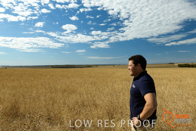 November 2017 / HARVEST_TUMBY_AM_061_171121_TRP5693