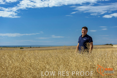 November 2017 / HARVEST_TUMBY_AM_063_171121_TRP8375