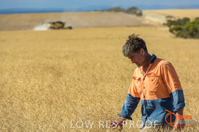 November 2017 / HARVEST_TUMBY_AM_079_171121_TRP8389