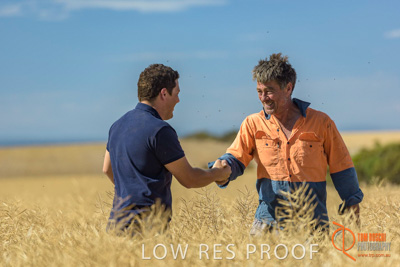 November 2017 / HARVEST_TUMBY_AM_086_171121_TRP8402