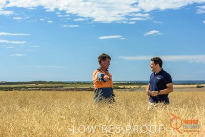 November 2017 / HARVEST_TUMBY_AM_097_171121_TRP8425