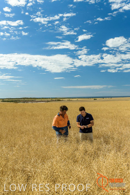 November 2017 / HARVEST_TUMBY_AM_105_171121_TRP5722