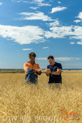 November 2017 / HARVEST_TUMBY_AM_107_171121_TRP5727