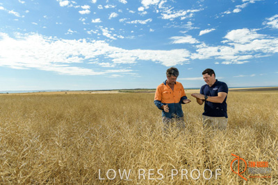 November 2017 / HARVEST_TUMBY_AM_110_171121_TRP5735