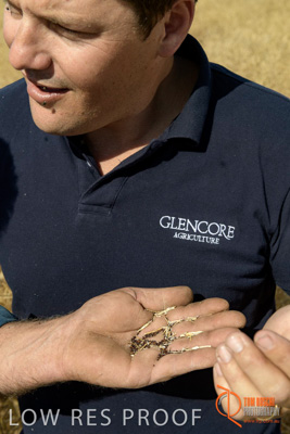 November 2017 / HARVEST_TUMBY_AM_121_171121_TRP5753