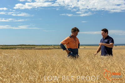 November 2017 / HARVEST_TUMBY_AM_140_171121_TRP8466