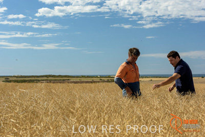 November 2017 / HARVEST_TUMBY_AM_143_171121_TRP8469