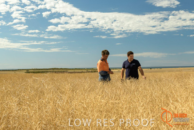 November 2017 / HARVEST_TUMBY_AM_144_171121_TRP5770