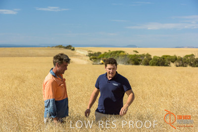 November 2017 / HARVEST_TUMBY_AM_147_171121_TRP8475