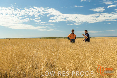 November 2017 / HARVEST_TUMBY_AM_150_171121_TRP5777