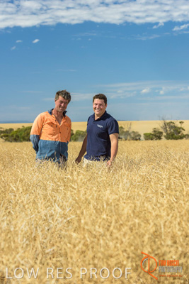 November 2017 / HARVEST_TUMBY_AM_160_171121_TRP8492