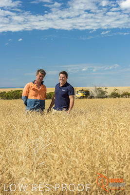 November 2017 / HARVEST_TUMBY_AM_165_171121_TRP8498